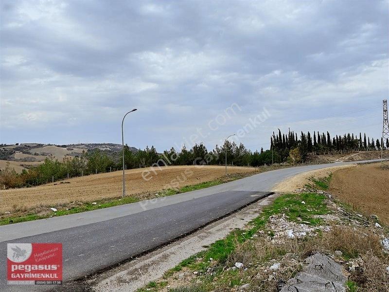 Pegasus'tan Adana Çukurova Şambayatta İmarlı Arsa Hissesi — fotoğraf 22