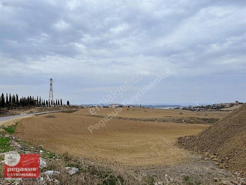 Pegasus'tan Adana Çukurova Şambayatta İmarlı Arsa Hissesi — fotoğraf 23