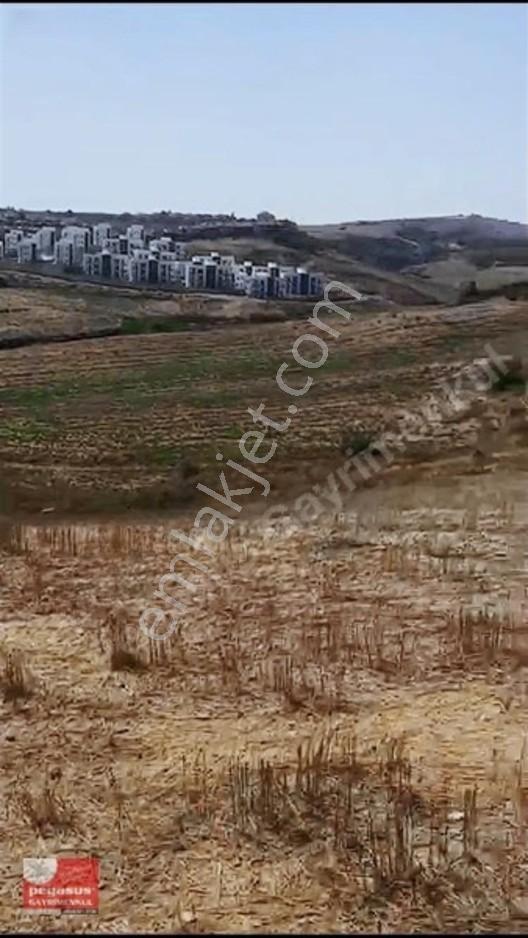 Pegasus'tan Adana Çukurova Şambayatta İmarlı Arsa Hissesi — fotoğraf 28