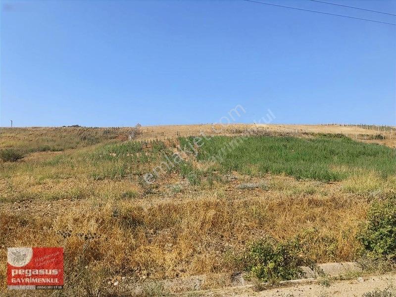 Pegasus'tan Adana Çukurova Şambayatta İmarlı Arsa Hissesi — fotoğraf 31