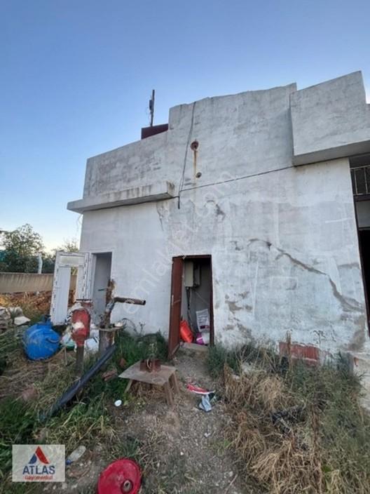 Turgutlu Avşar'da 13 Dönüm Satılık Tarla — fotoğraf 13