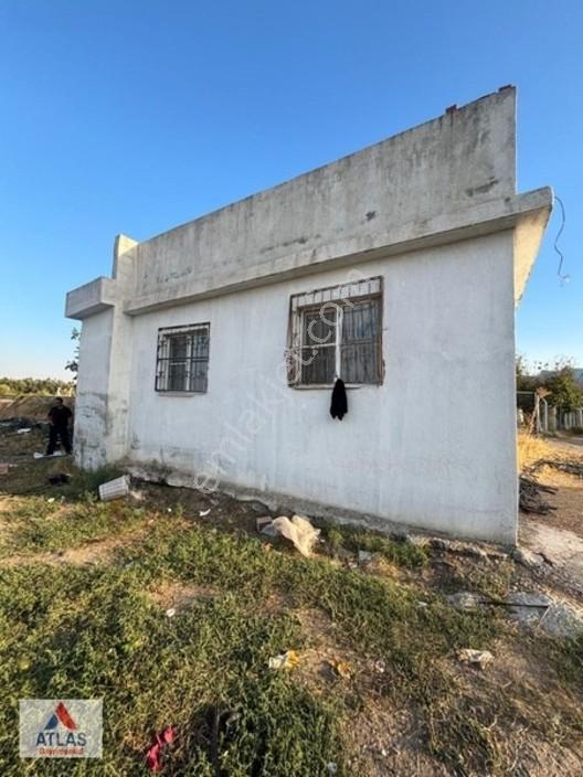Turgutlu Avşar'da 13 Dönüm Satılık Tarla — fotoğraf 14