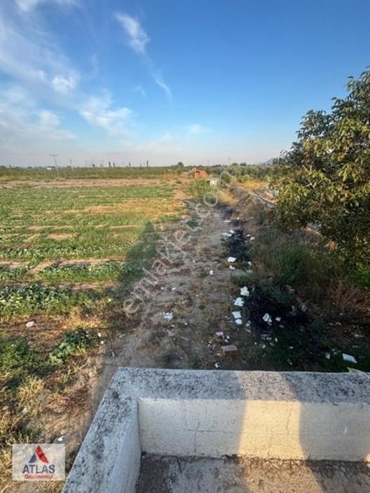 Turgutlu Avşar'da 13 Dönüm Satılık Tarla — fotoğraf 18