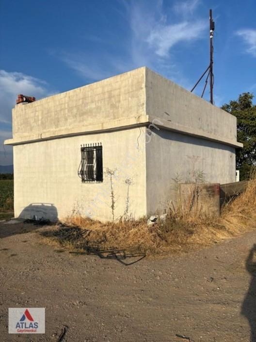 Turgutlu Avşar'da 13 Dönüm Satılık Tarla — fotoğraf 19