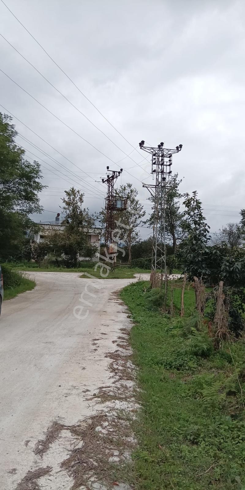 Salıpazarı Biçme Mahallesinde Satılık Yol Cepheli Tarla — fotoğraf 2