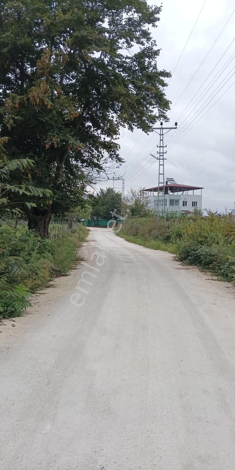 Salıpazarı Biçme Mahallesinde Satılık Yol Cepheli Tarla — fotoğraf 3