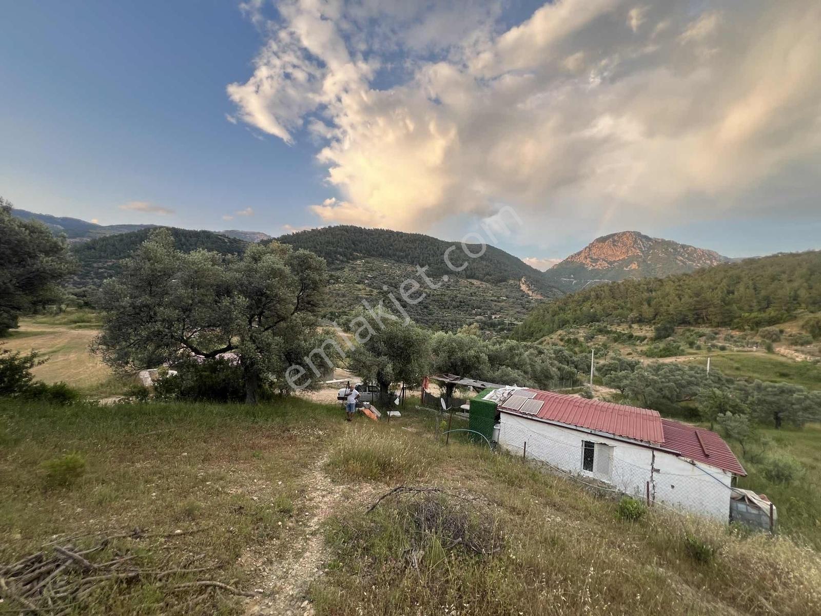 Gökovaya Yakın Zeytinköyde 450m² Premium Doğa Tarlası — fotoğraf 3