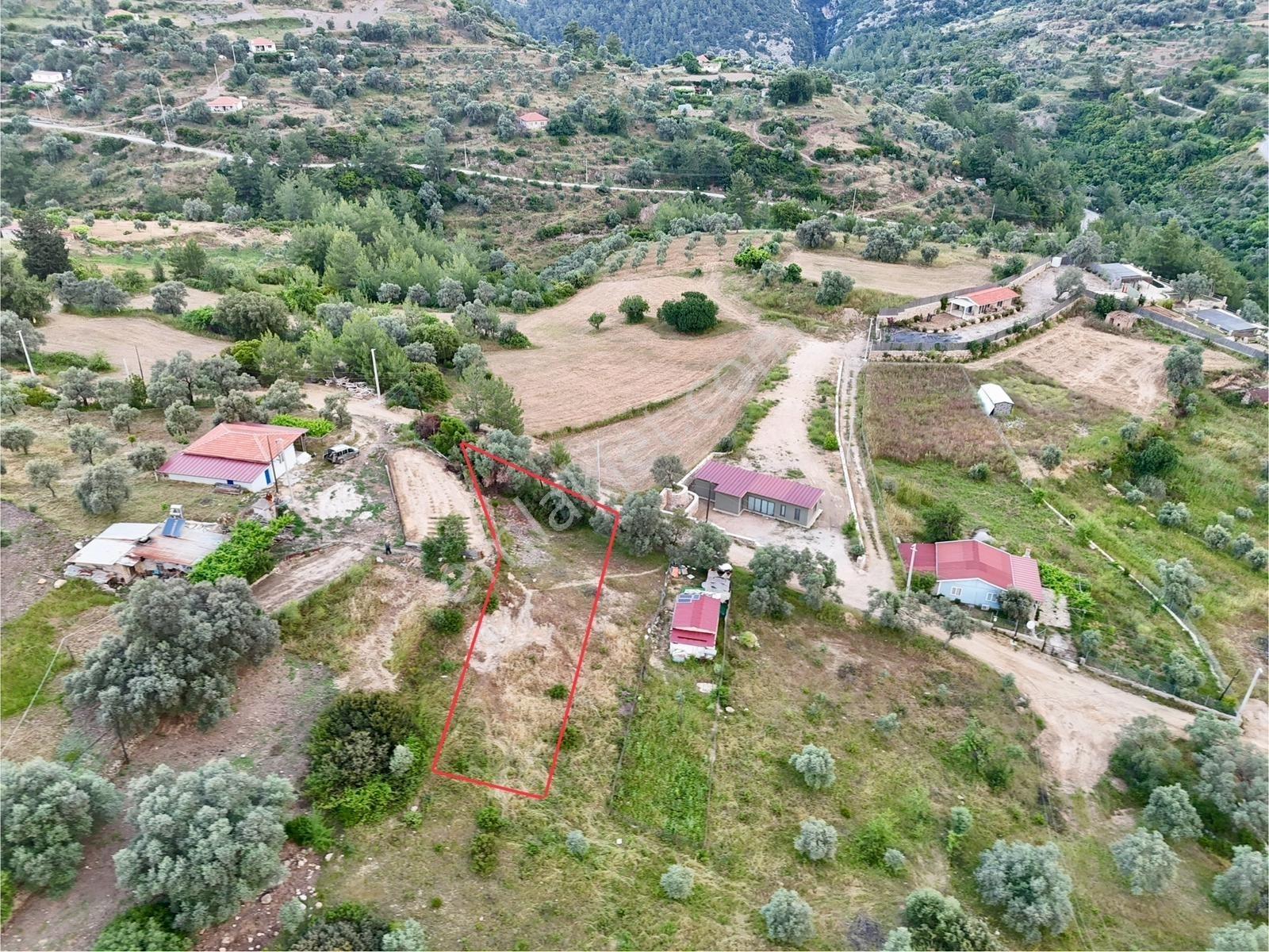 Gökovaya Yakın Zeytinköyde 450m² Premium Doğa Tarlası — fotoğraf 4