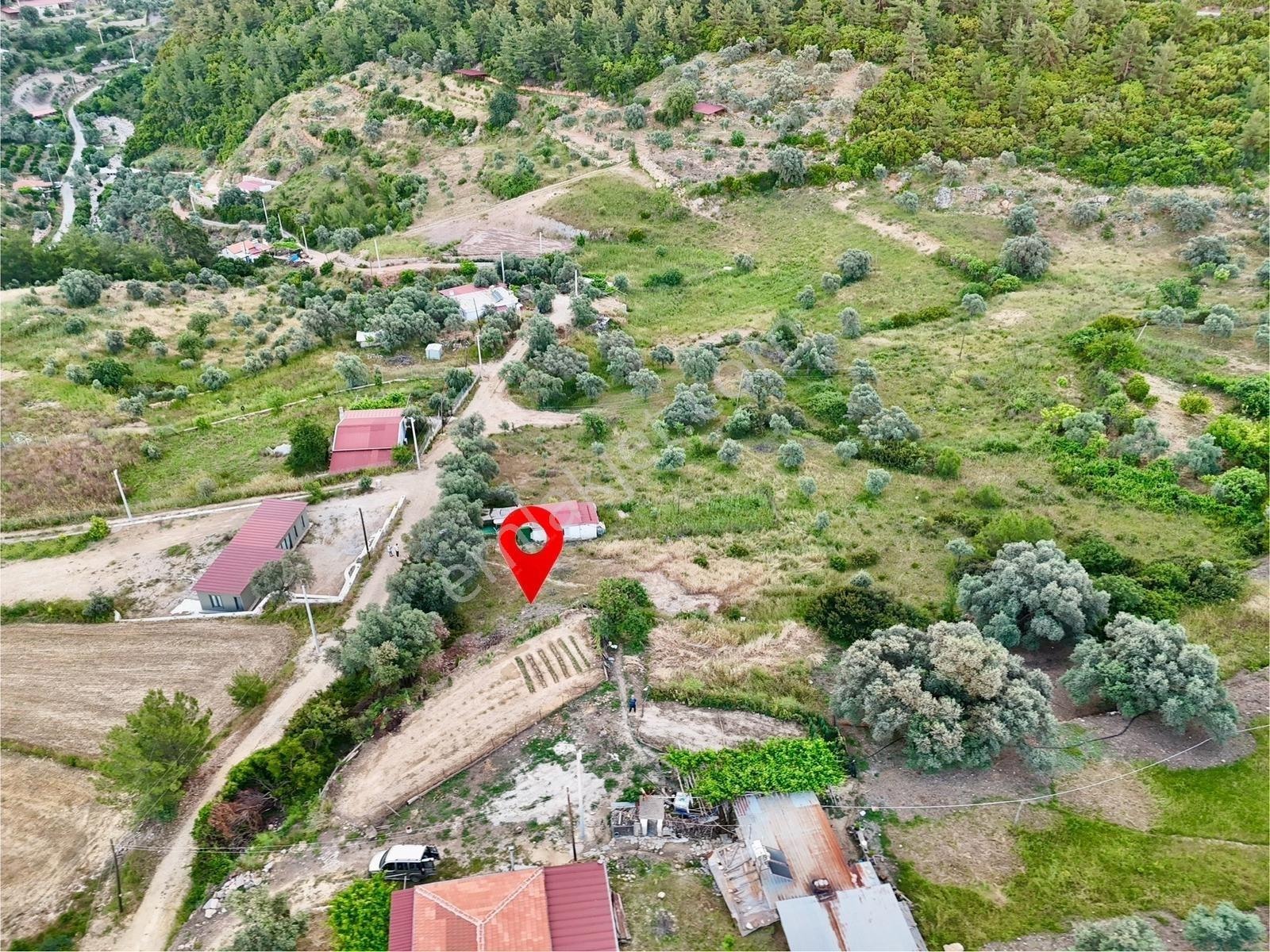 Gökovaya Yakın Zeytinköyde 450m² Premium Doğa Tarlası — fotoğraf 5