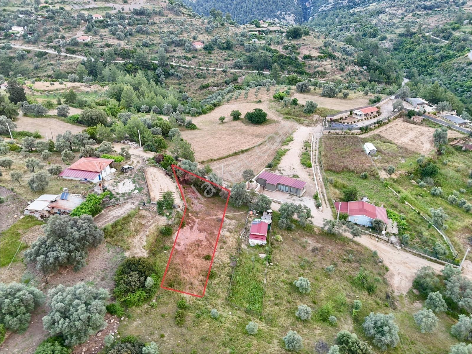 Gökovaya Yakın Zeytinköyde 450m² Premium Doğa Tarlası — fotoğraf 6