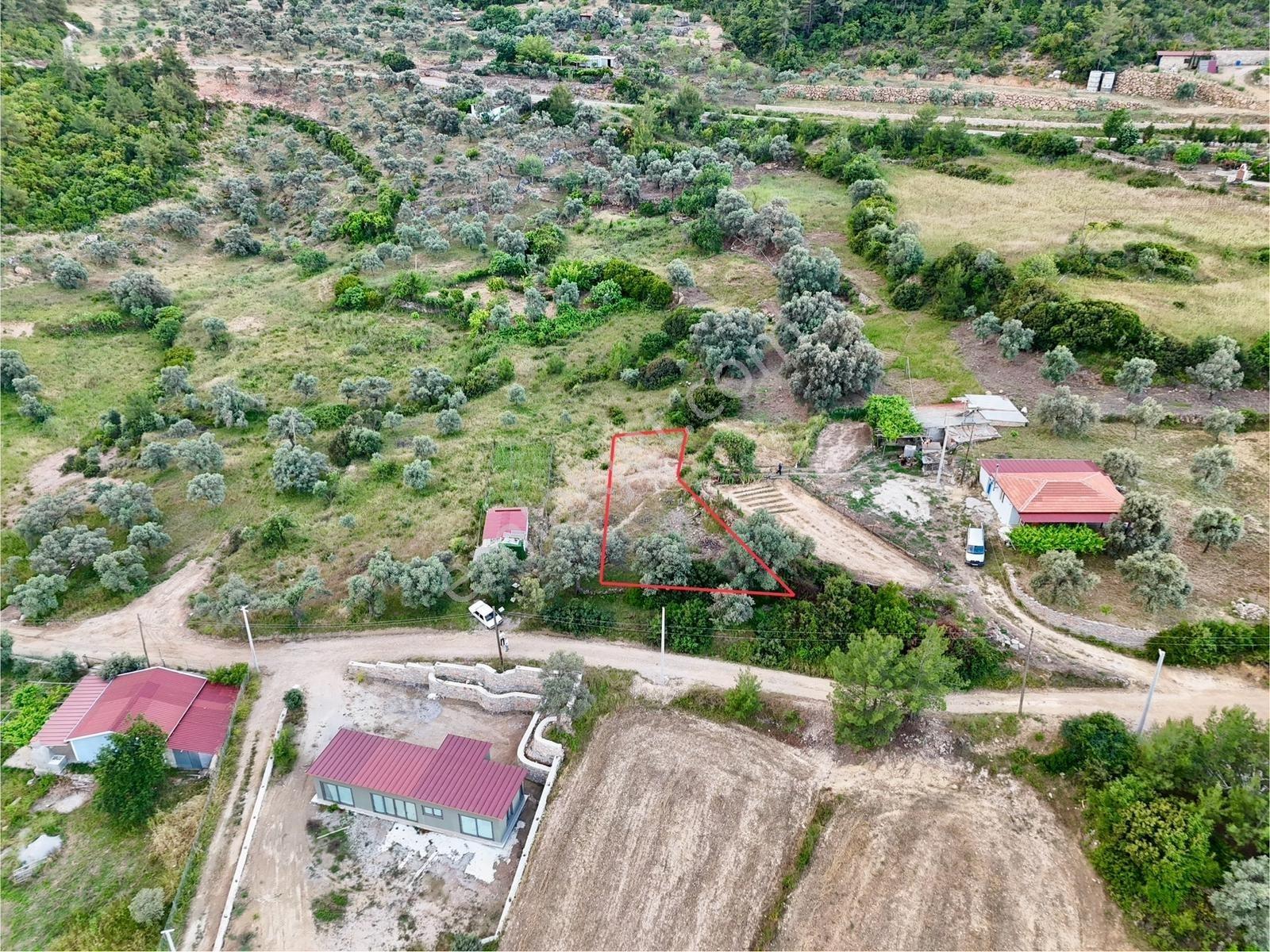Gökovaya Yakın Zeytinköyde 450m² Premium Doğa Tarlası — fotoğraf 7