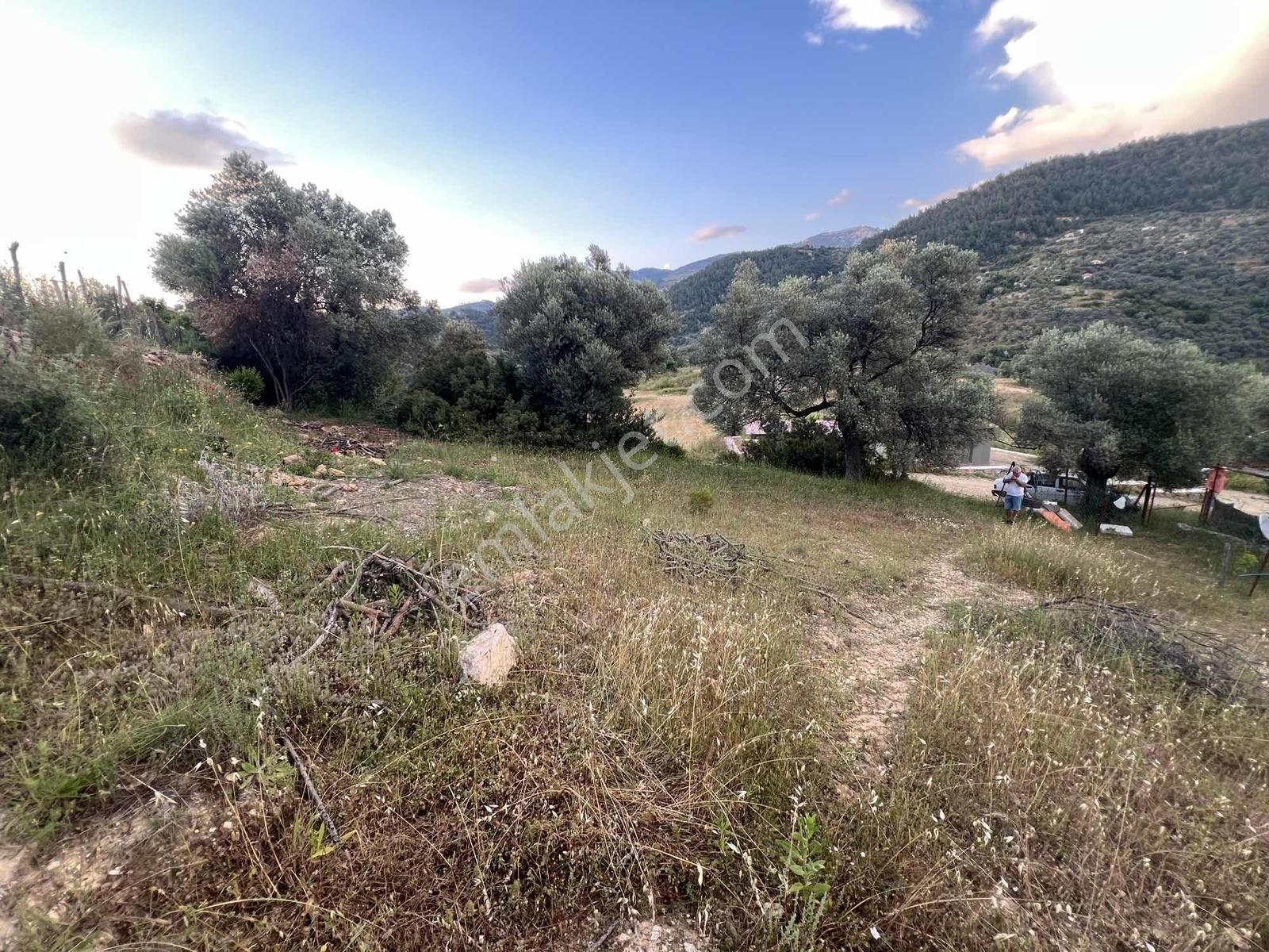 Gökovaya Yakın Zeytinköyde 450m² Premium Doğa Tarlası — fotoğraf 19