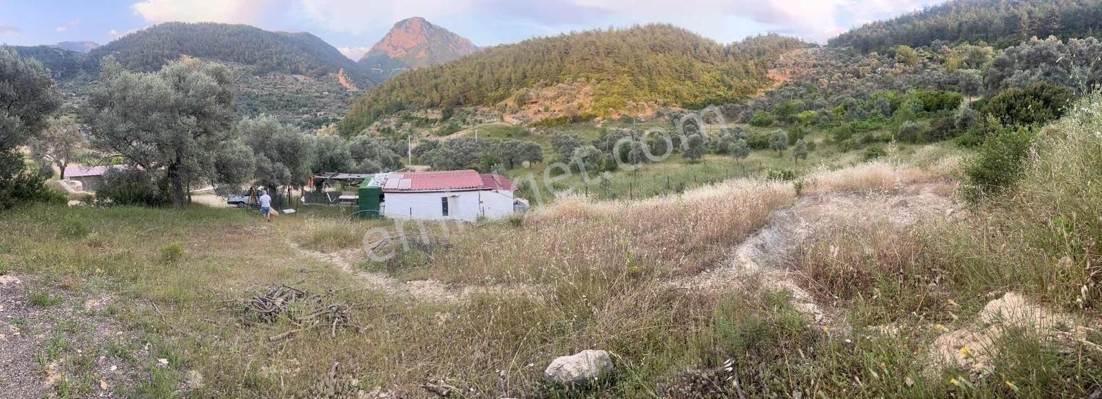 Gökovaya Yakın Zeytinköyde 450m² Premium Doğa Tarlası — fotoğraf 22