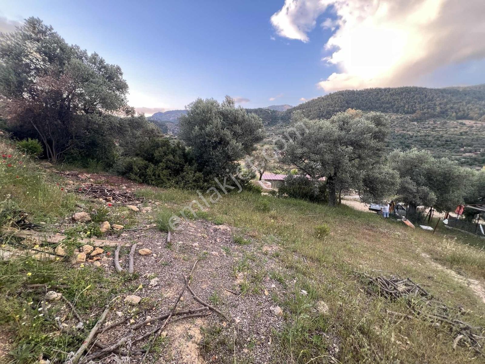 Gökovaya Yakın Zeytinköyde 450m² Premium Doğa Tarlası — fotoğraf 23
