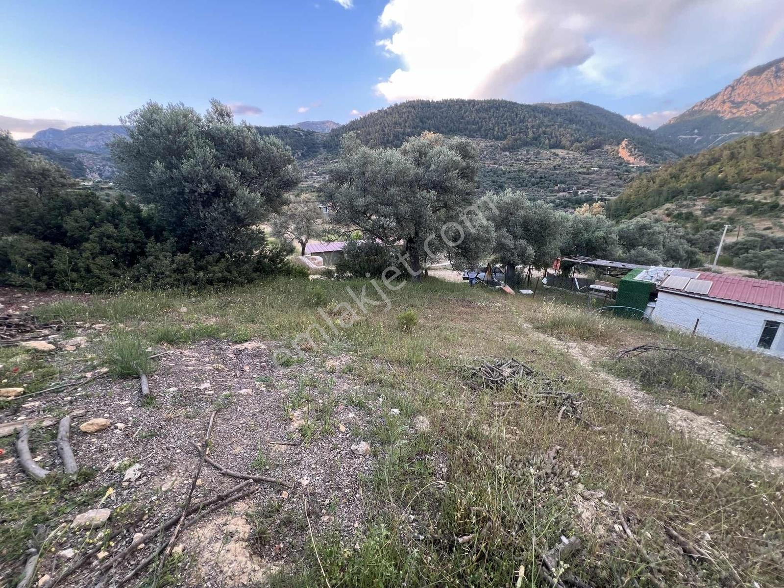 Gökovaya Yakın Zeytinköyde 450m² Premium Doğa Tarlası — fotoğraf 24
