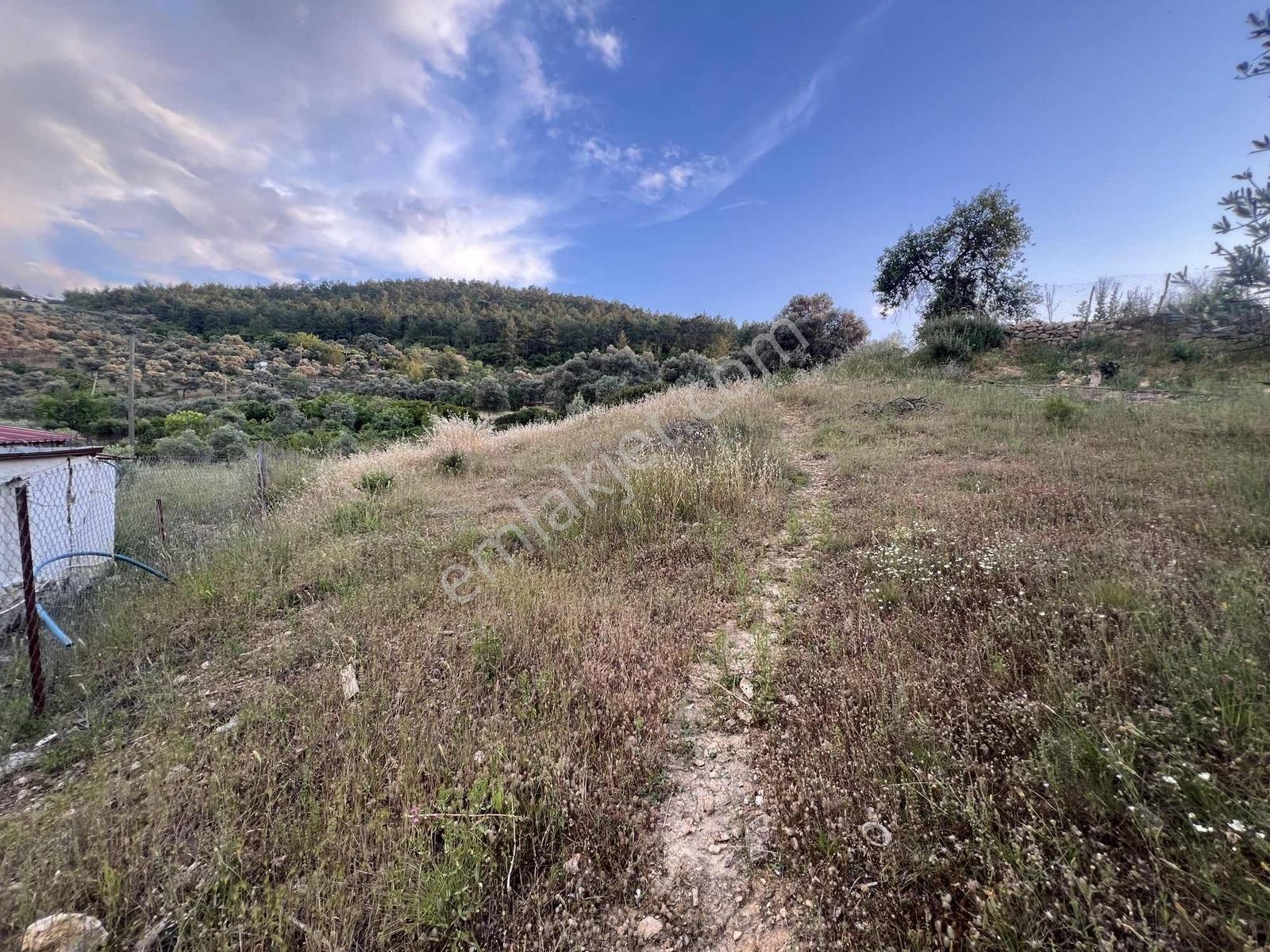 Gökovaya Yakın Zeytinköyde 450m² Premium Doğa Tarlası — fotoğraf 27