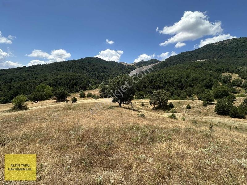 16 Dönüm /alan Kazanır Fırsat Müstakil Tarla — fotoğraf 7