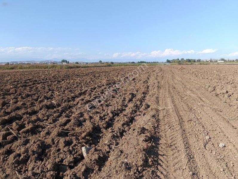 Kelepir Tarla Satışta — fotoğraf 2