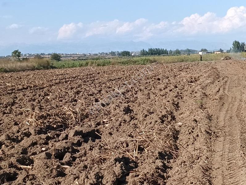 Kelepir Tarla Satışta — fotoğraf 3