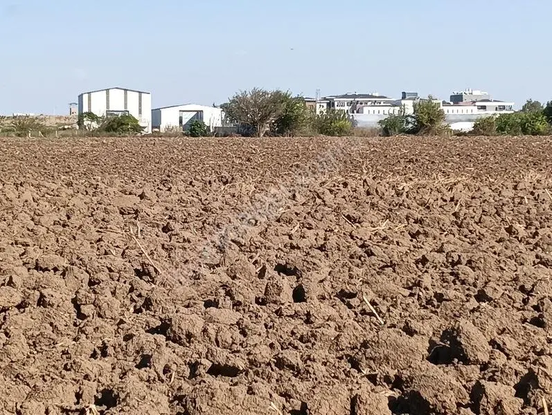 Kelepir Tarla Satışta — fotoğraf 4
