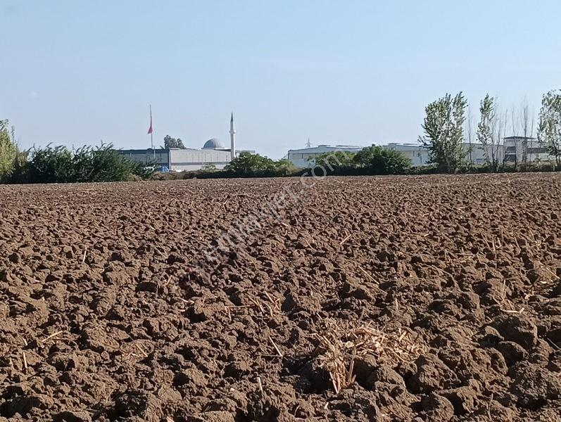 Kelepir Tarla Satışta — fotoğraf 5