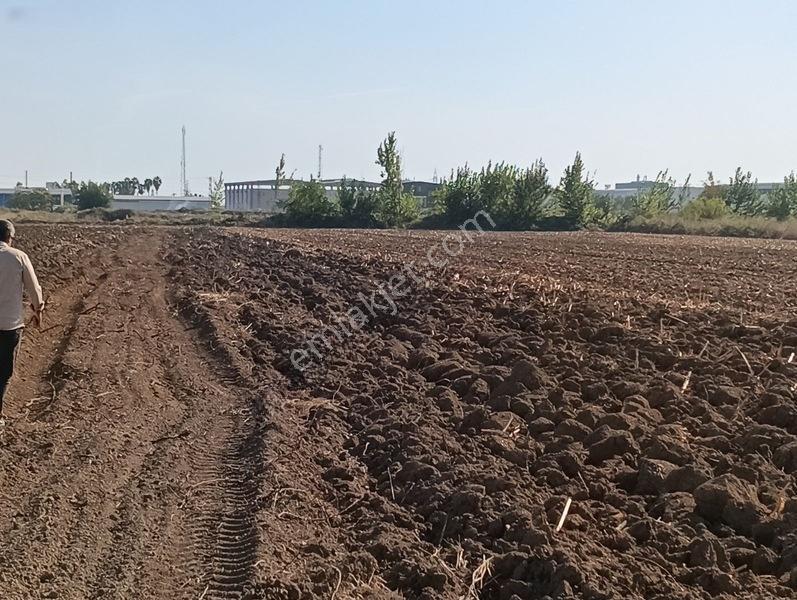 Kelepir Tarla Satışta — fotoğraf 6