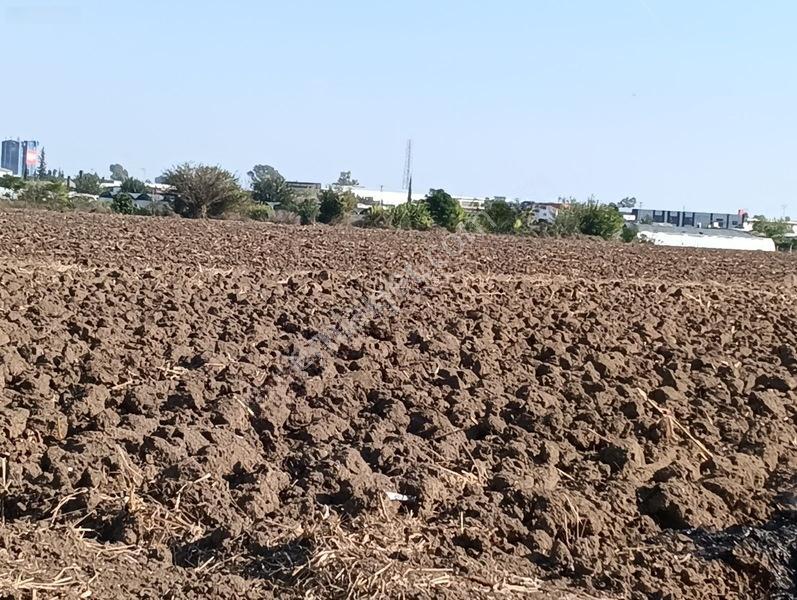 Kelepir Tarla Satışta — fotoğraf 10