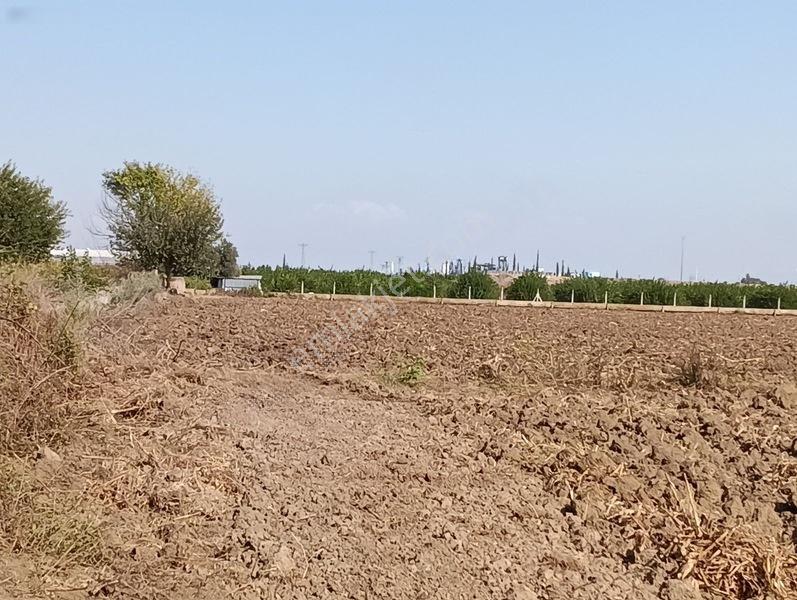 Kelepir Tarla Satışta — fotoğraf 11
