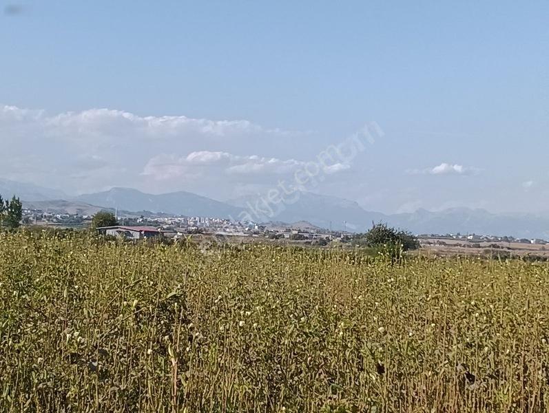Kelepir Tarla Satışta — fotoğraf 15