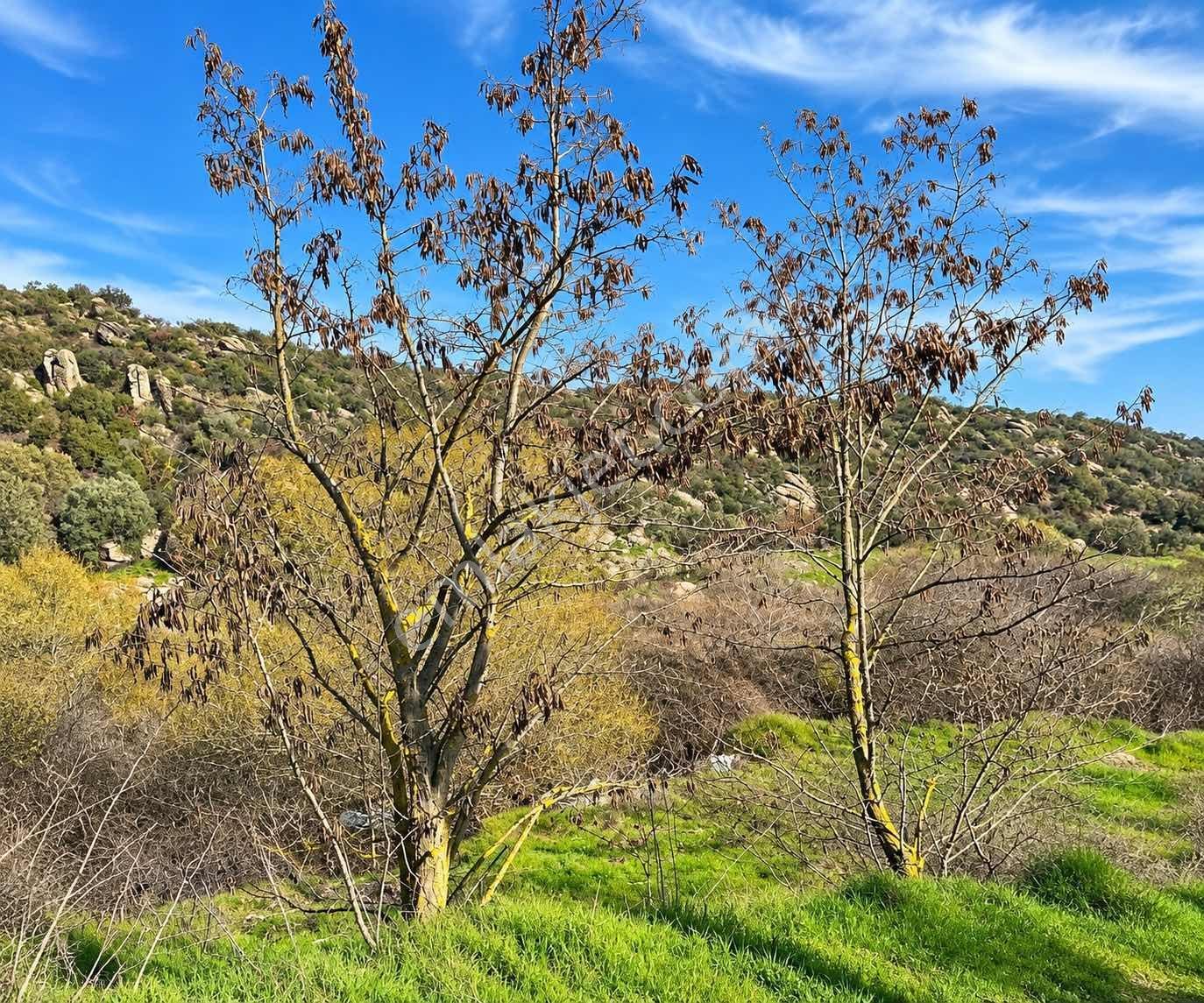 Satılık Yatırımlık Tarla Ulasımı Kolay Parsel — fotoğraf 2