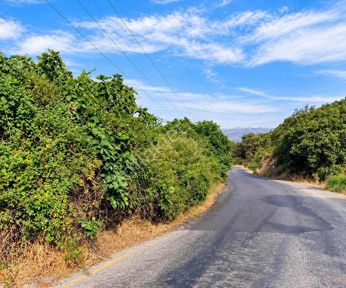 Satılık Yatırımlık Tarla Ulasımı Kolay Parsel — fotoğraf 3