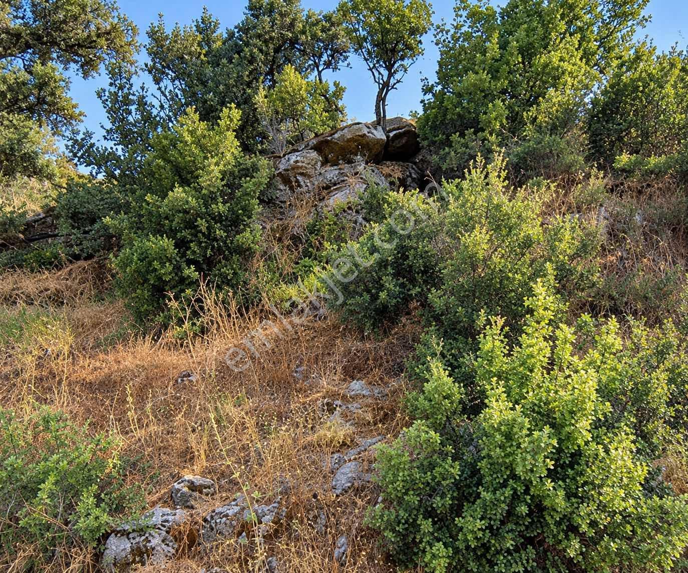 Satılık Yatırımlık Tarla Ulasımı Kolay Parsel — fotoğraf 6