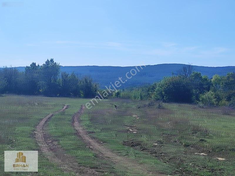 Kırklareli Vize Küçükyayla 5.050 M2 Müstakil Tek Tapu Tarla — fotoğraf 3