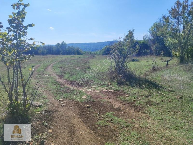 Kırklareli Vize Küçükyayla 5.050 M2 Müstakil Tek Tapu Tarla — fotoğraf 4