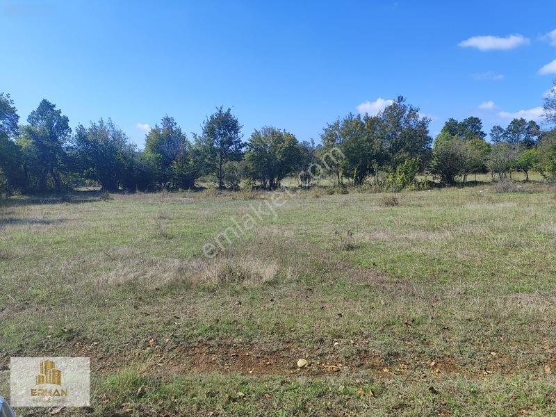 Kırklareli Vize Küçükyayla 5.050 M2 Müstakil Tek Tapu Tarla — fotoğraf 5