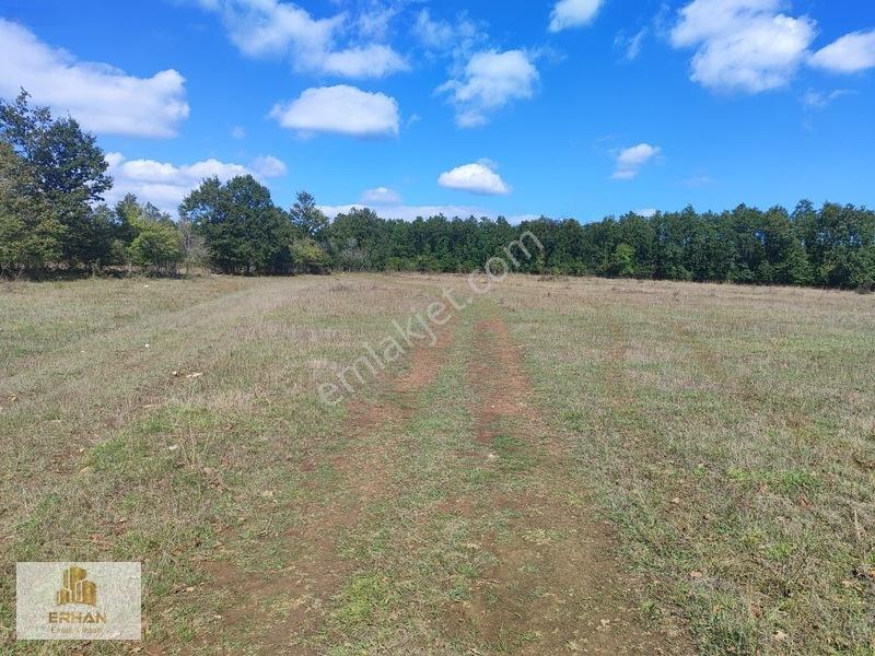 Kırklareli Vize Küçükyayla 5.050 M2 Müstakil Tek Tapu Tarla — fotoğraf 6