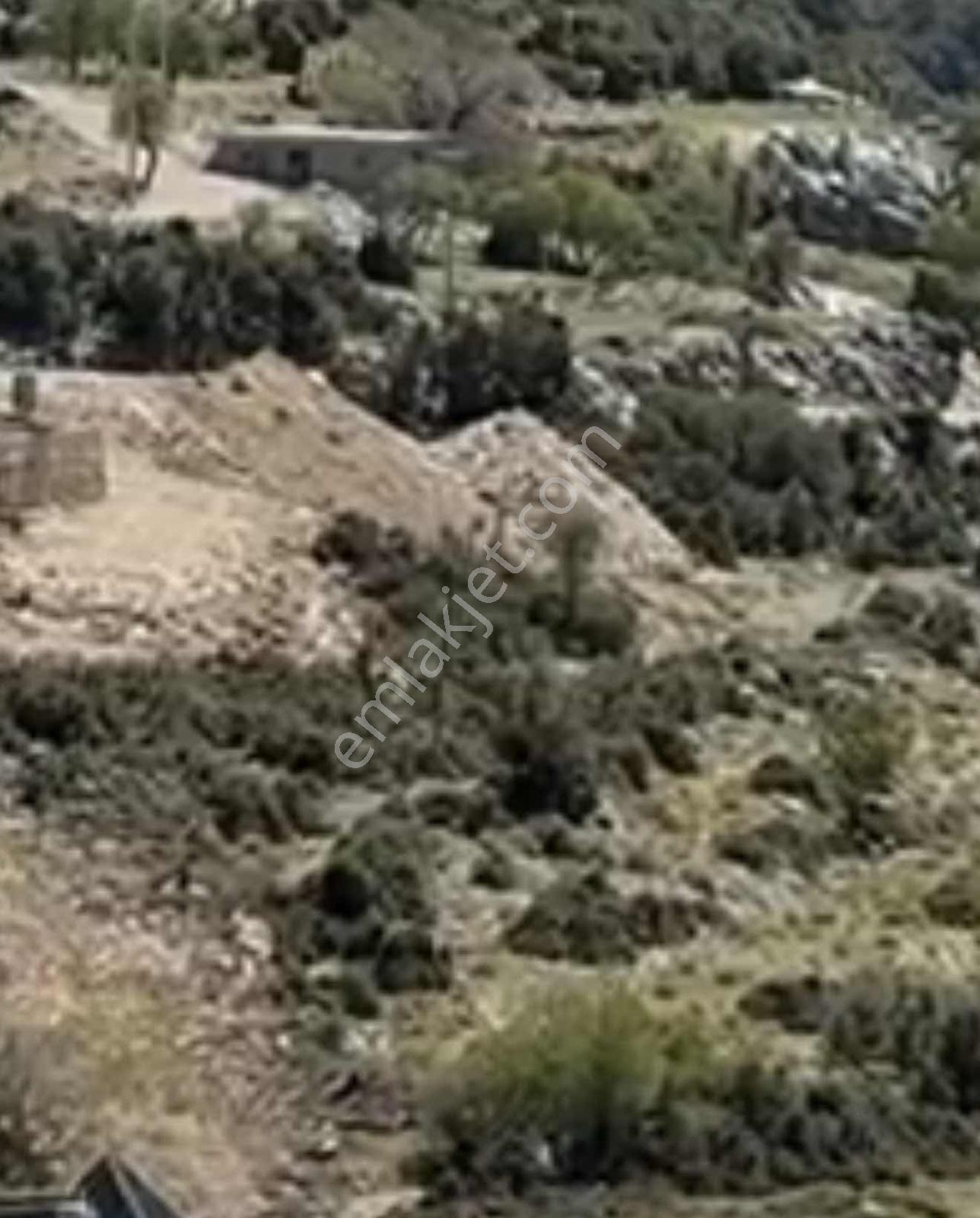 Fethiye Karaağaç Köyiçi 979 Metre Satılık Tarla