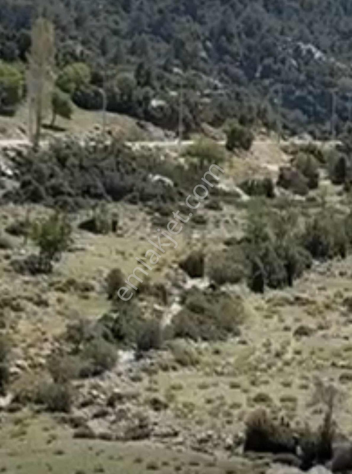 Fethiye Karaağaç Köyiçi 979 Metre Satılık Tarla — fotoğraf 2
