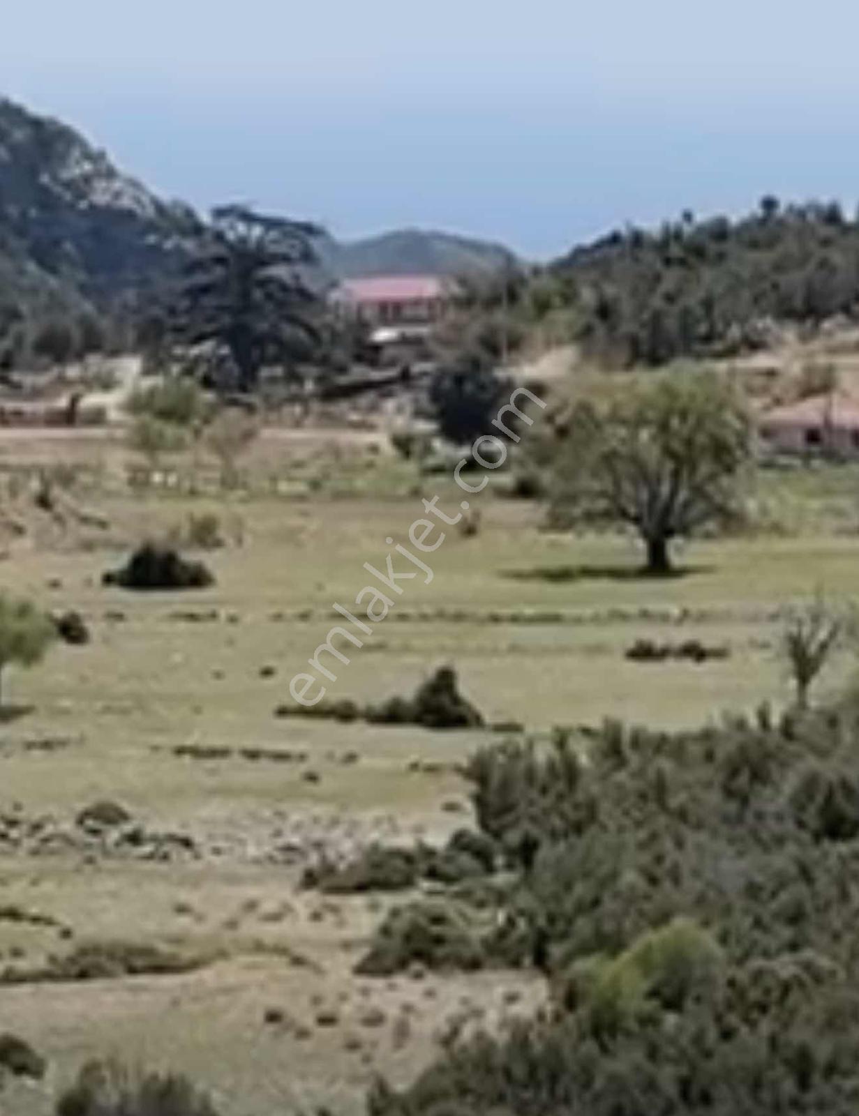 Fethiye Karaağaç Köyiçi 979 Metre Satılık Tarla — fotoğraf 3