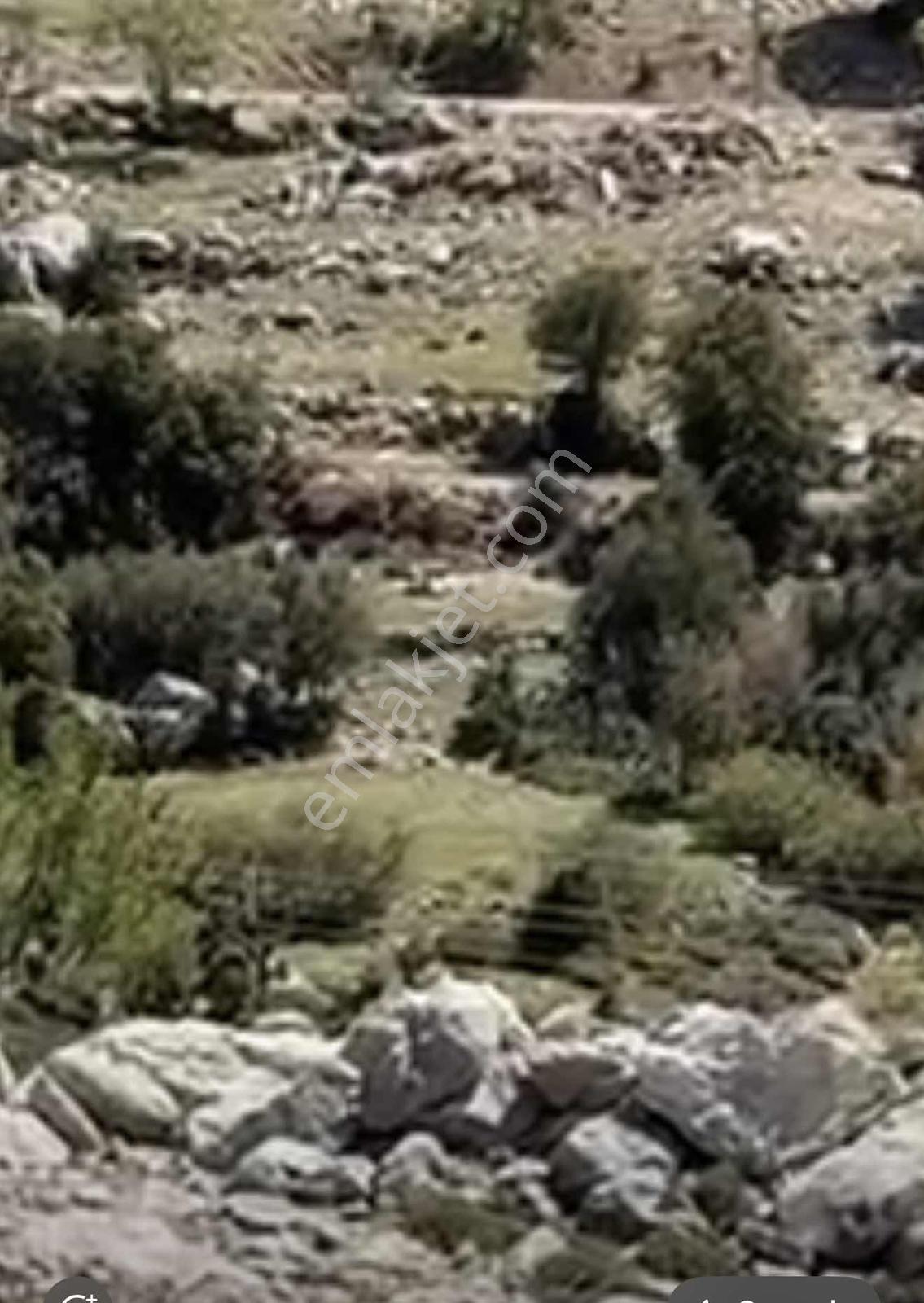 Fethiye Karaağaç Köyiçi 979 Metre Satılık Tarla — fotoğraf 4