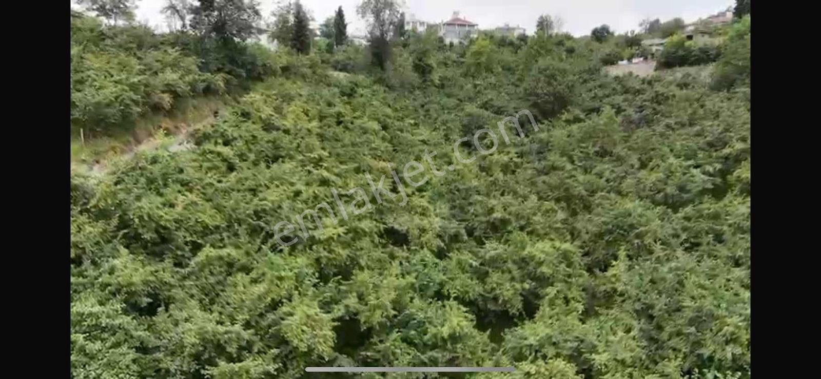 Trabzon Ortahisar Karlıkta Satılık Arsa — fotoğraf 4