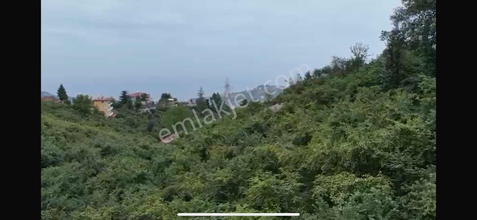 Trabzon Ortahisar Karlıkta Satılık Arsa — fotoğraf 5