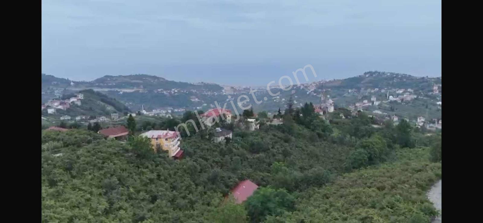 Trabzon Ortahisar Karlıkta Satılık Arsa — fotoğraf 6