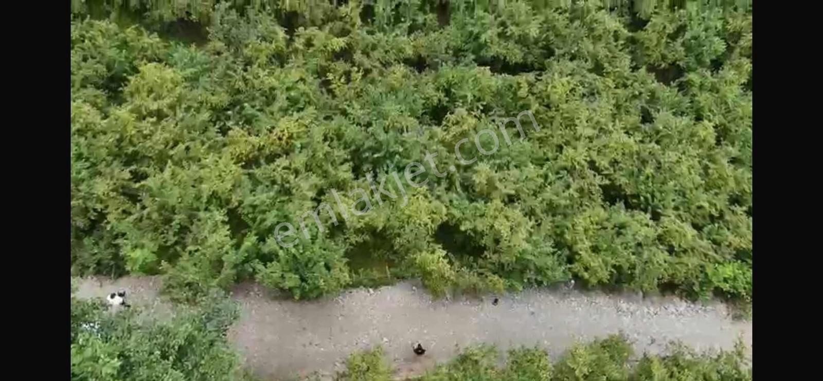 Trabzon Ortahisar Karlıkta Satılık Arsa — fotoğraf 7