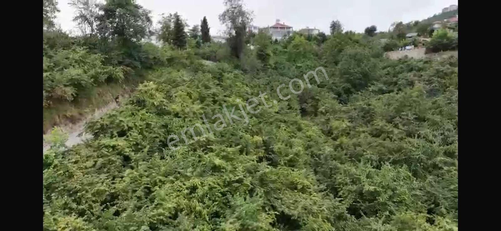 Trabzon Ortahisar Karlıkta Satılık Arsa — fotoğraf 9