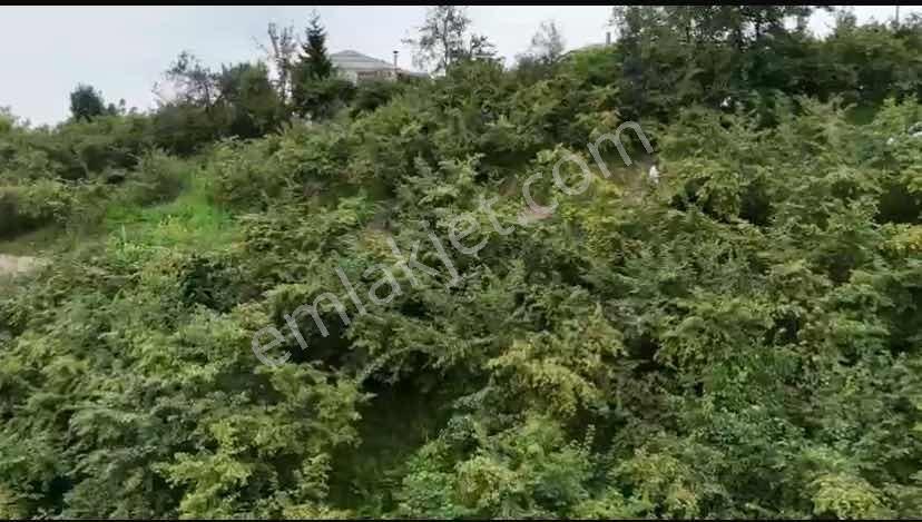 Trabzon Ortahisar Karlıkta Satılık Arsa — fotoğraf 10