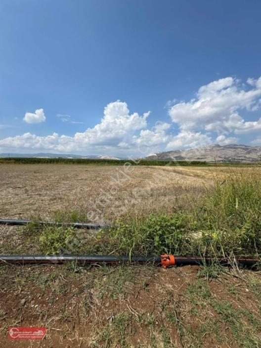 Burdur Karamanlı Kağılcık Köyü Satılık Tarla — fotoğraf 3