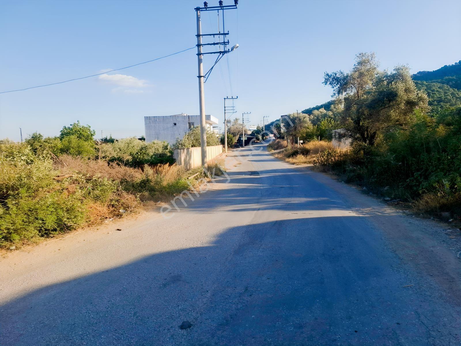 İçinde Numaratjlı 2+1 Evi Olan Satılık Hisse — fotoğraf 9