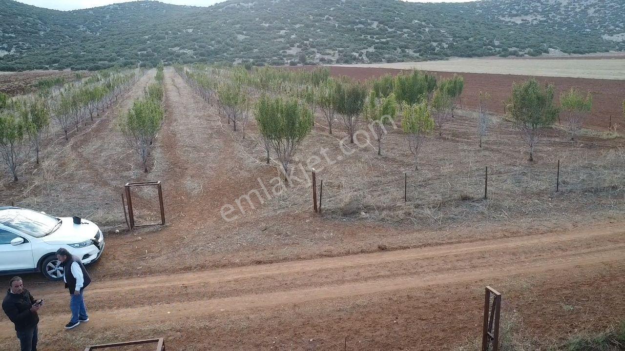 Korkuteli Bayat Mahallesi 11.200 M² Satılık Bahçe — fotoğraf 2