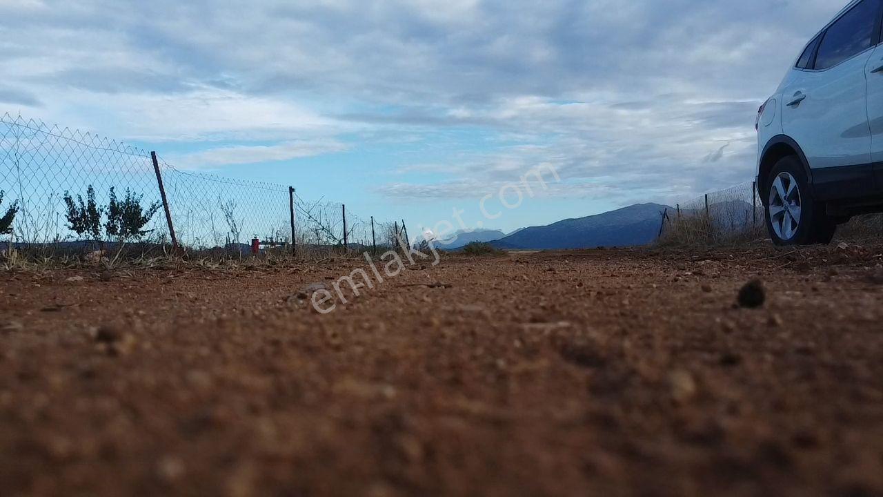 Korkuteli Bayat Mahallesi 11.200 M² Satılık Bahçe — fotoğraf 8